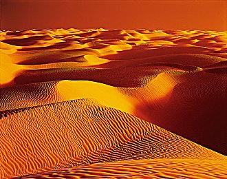 《刺客信条：影》概念图和截图 女主可使用抓钩